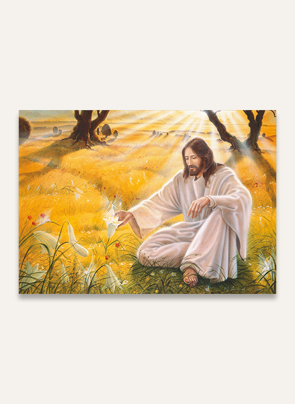 Christ & Elven Kingdom