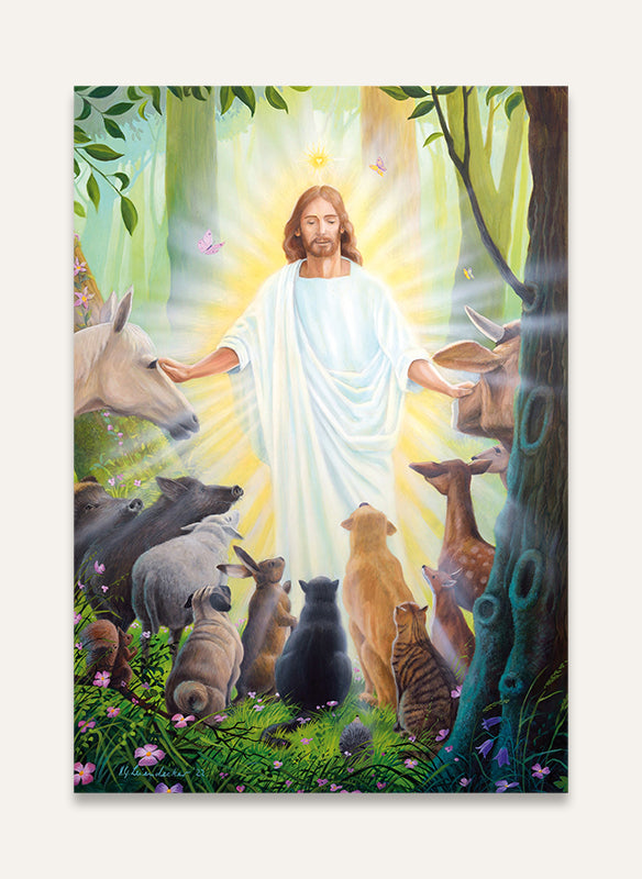 Segen für die Tiere - Postkarte