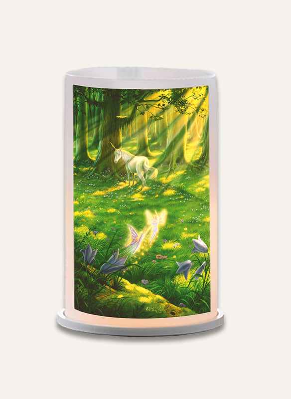 Lantern Wonders of the Forest