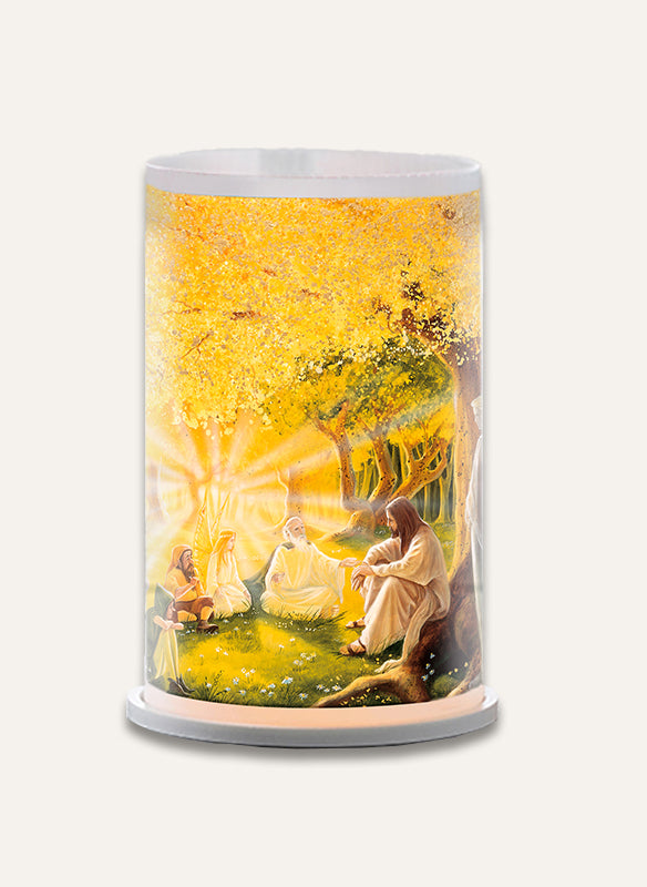 Lantern consultation in the forest