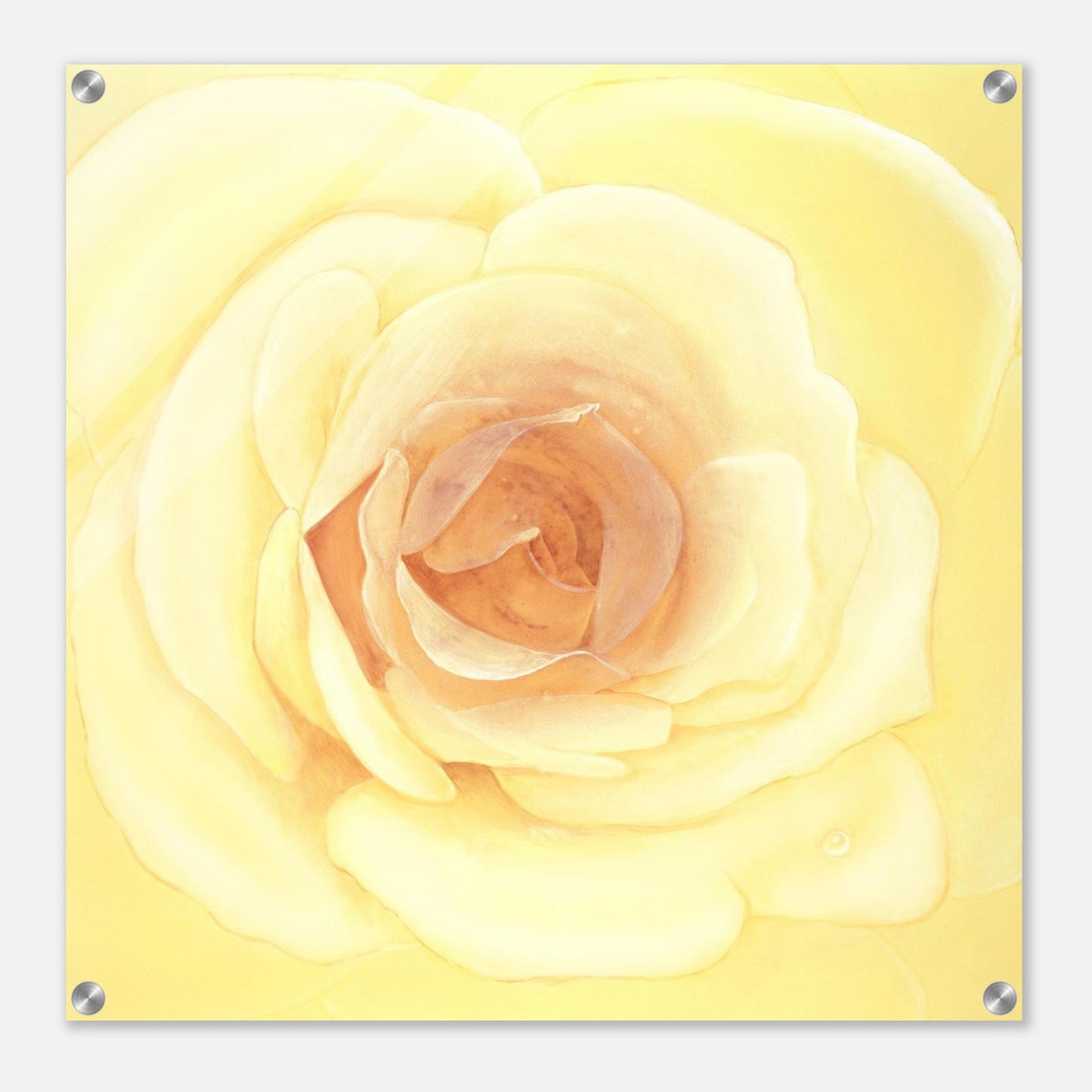 e4f3b812-dd66-46b9-a095-0f2509172e08