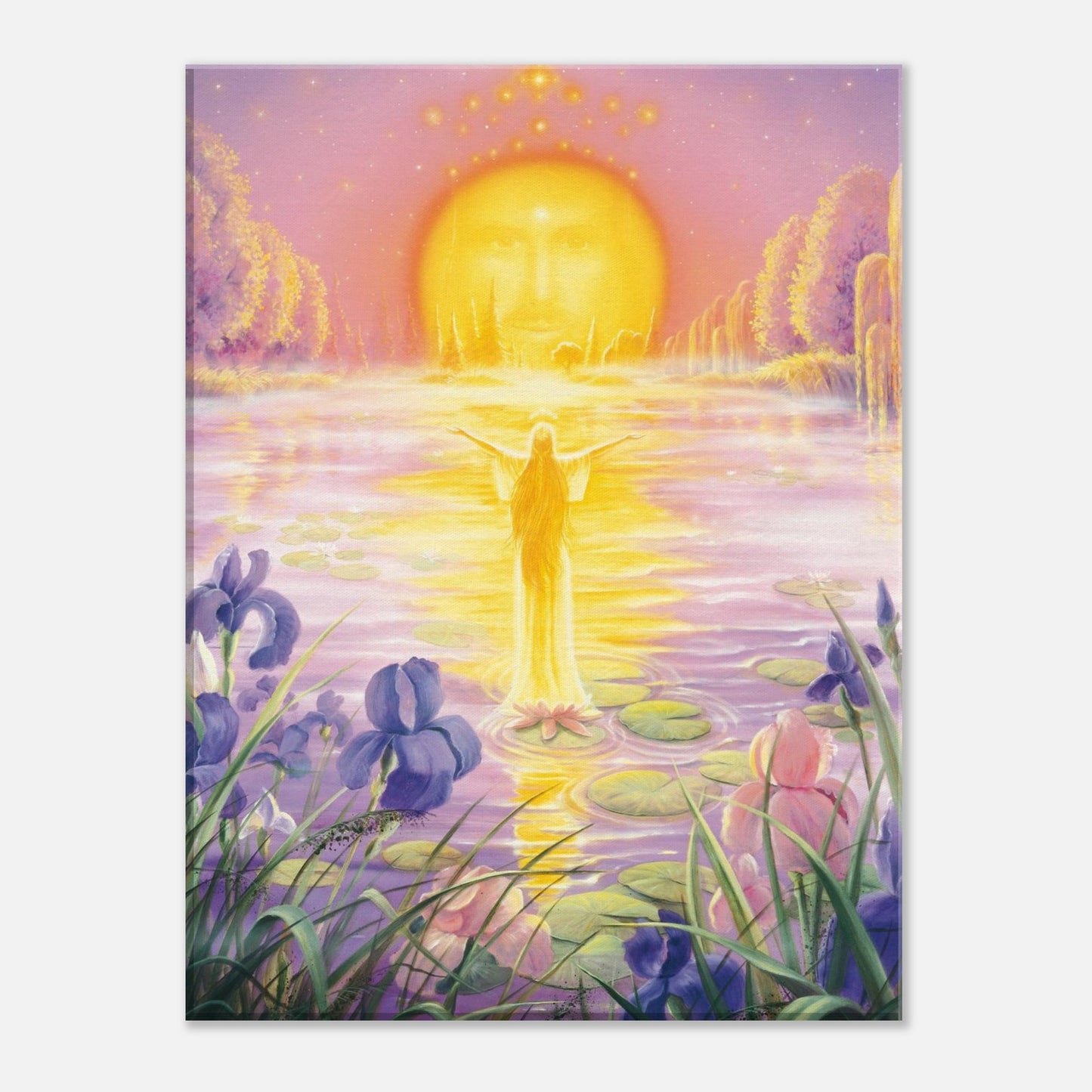 ef3a2a5f-d0d9-4926-94a9-745ad2bae393