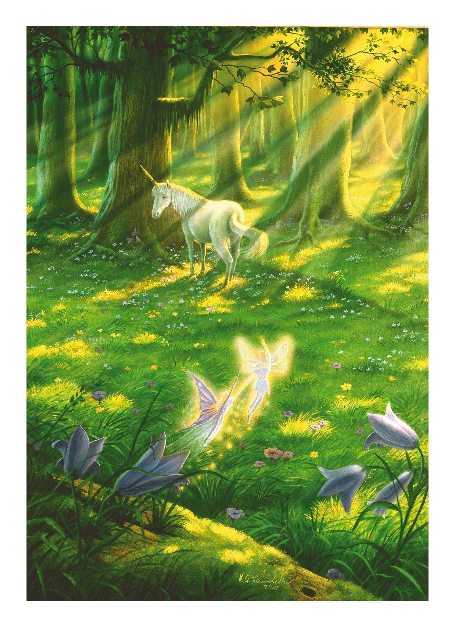 Das Wunder des Waldes