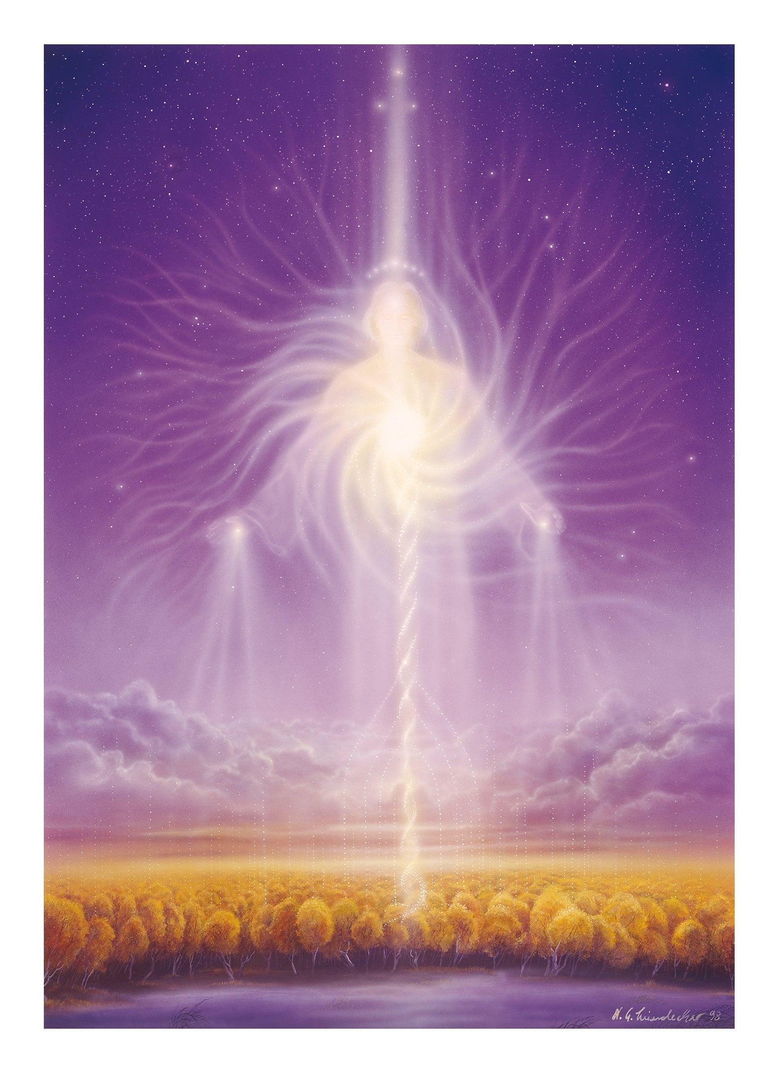 Die Seele des Waldes