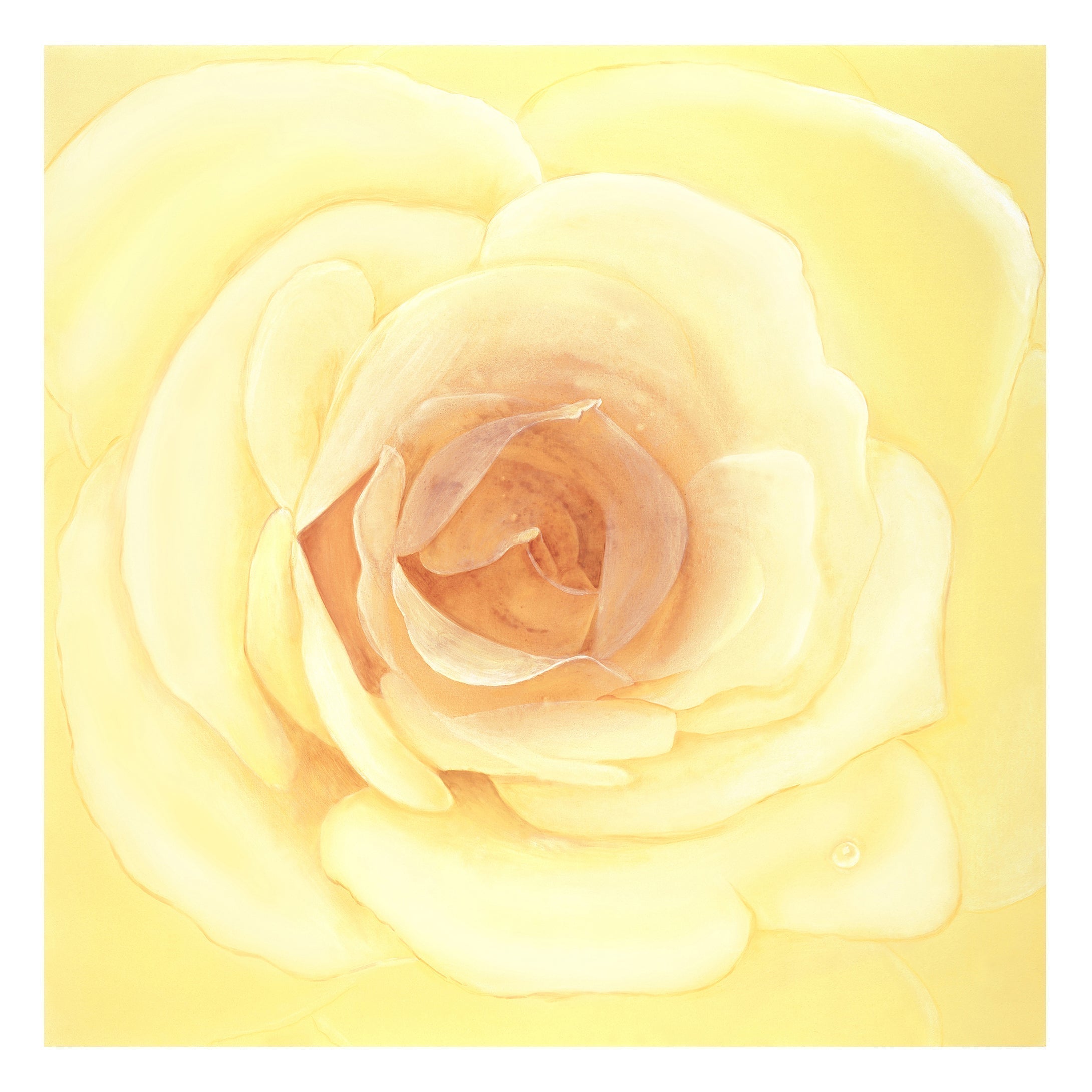 Heilige Weiße Rose (von Sabine Maria Leiendecker)