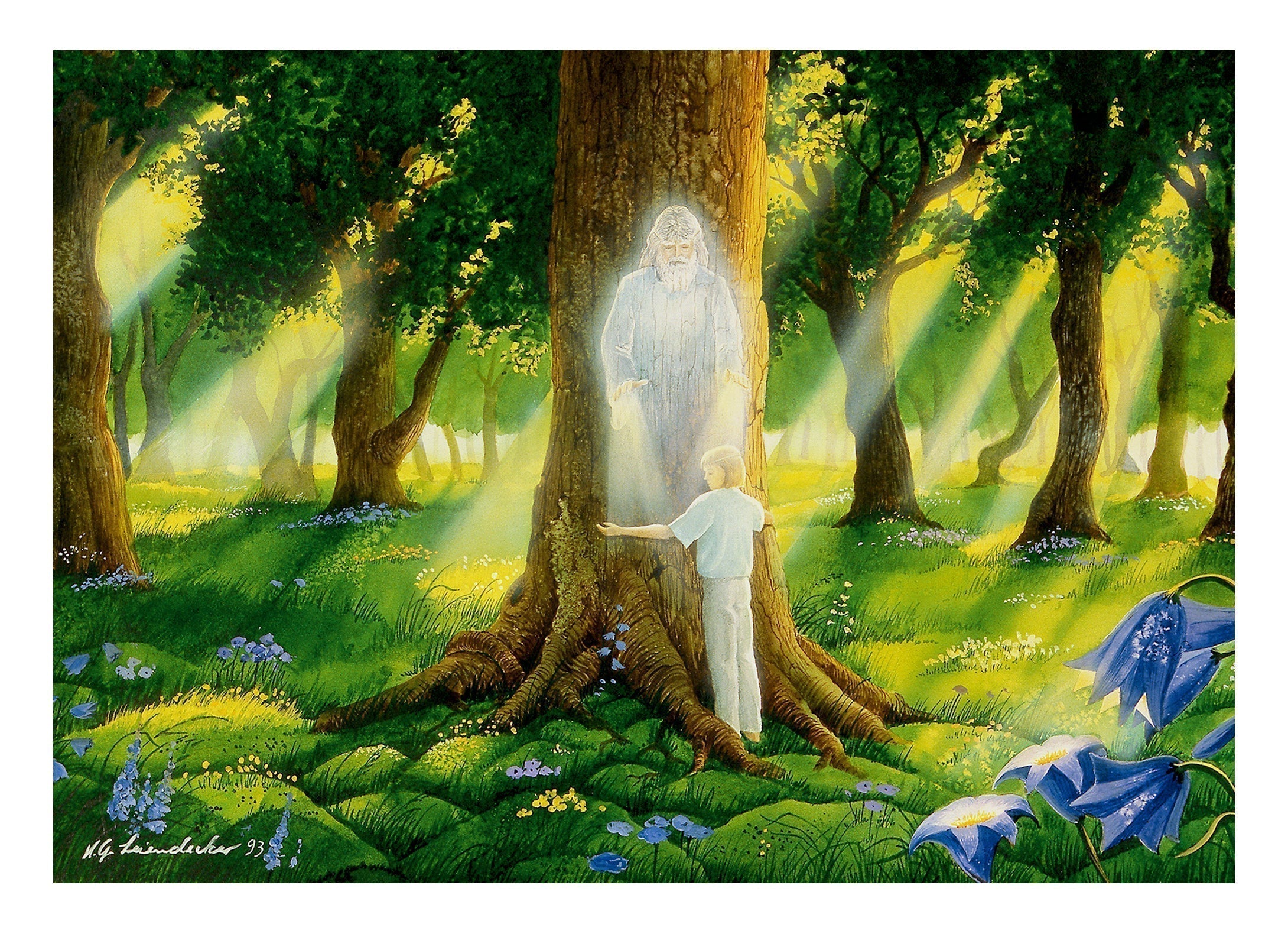 Lebenszyklus - Baumgeist