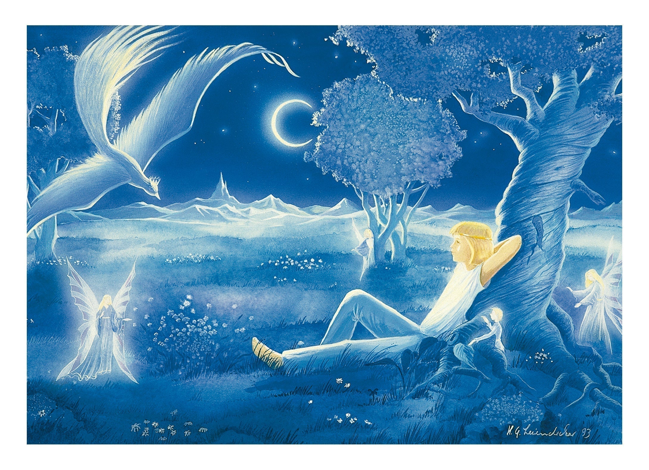 Lebenszyklus - Im Lichte der Nacht