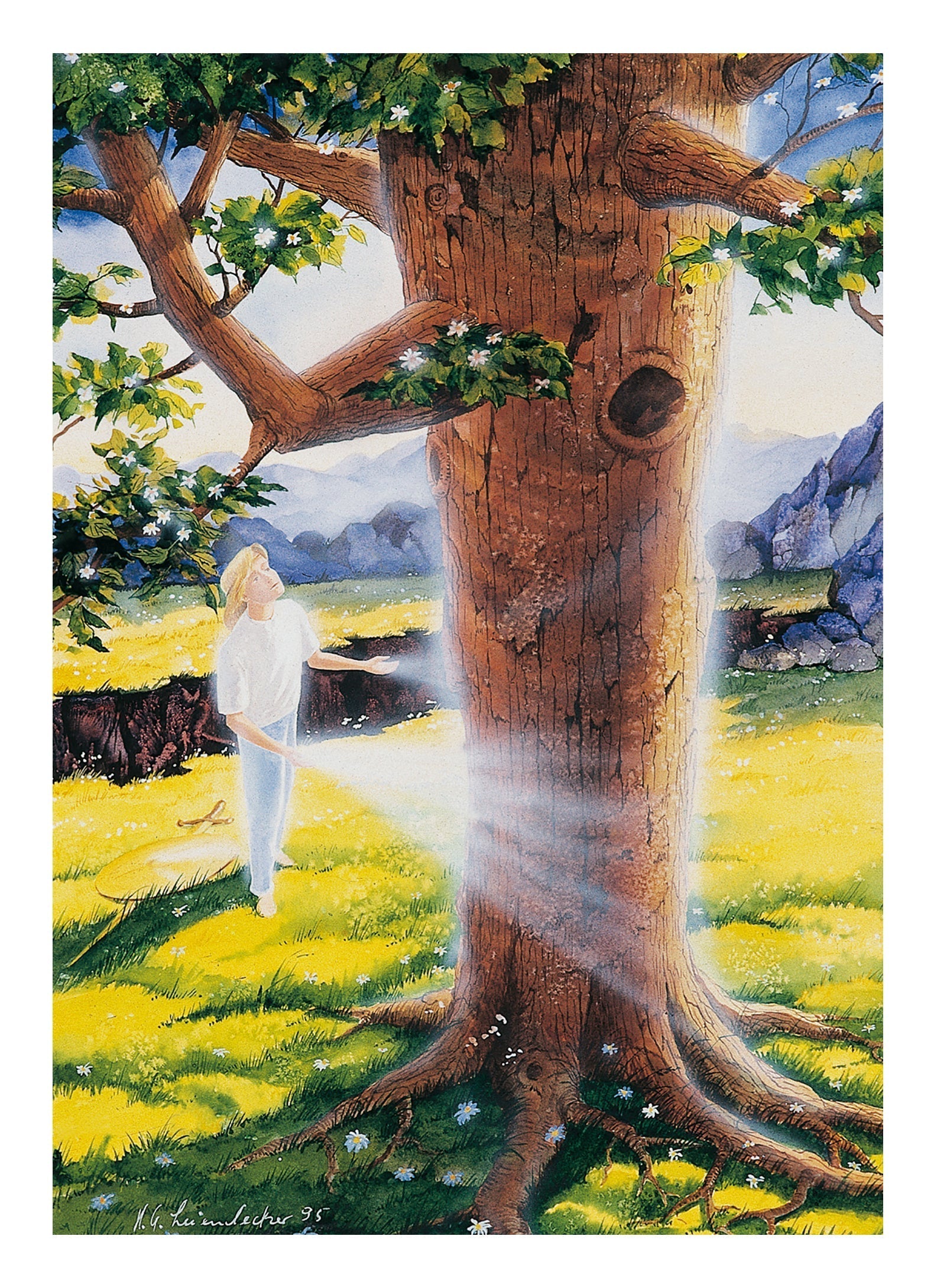 Lebenszyklus - Freund der Bäume