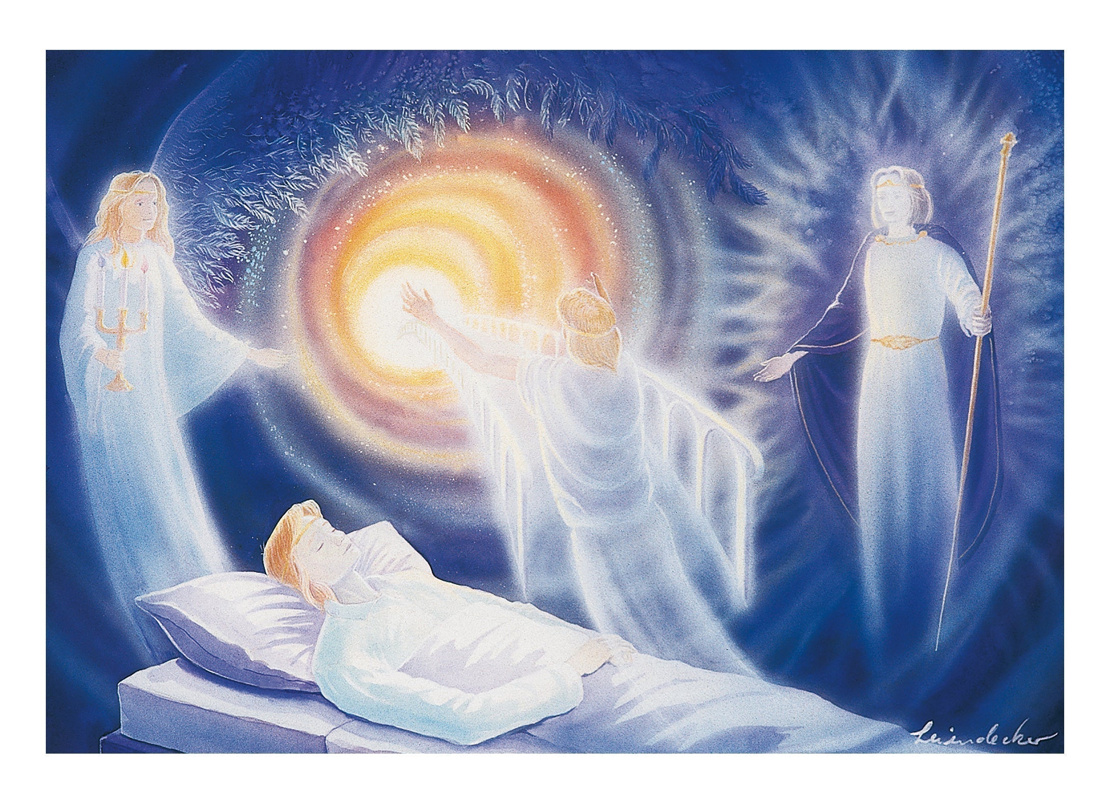 Lebenszyklus - Heimgang