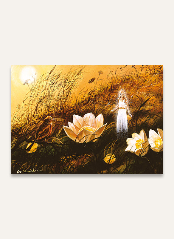 Wiesenelf - Postkarte 004