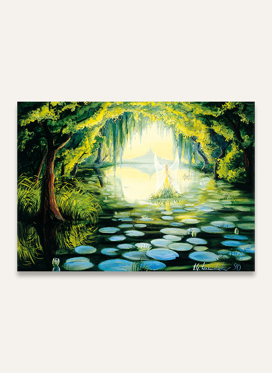 Water lily pond - Postcard 008