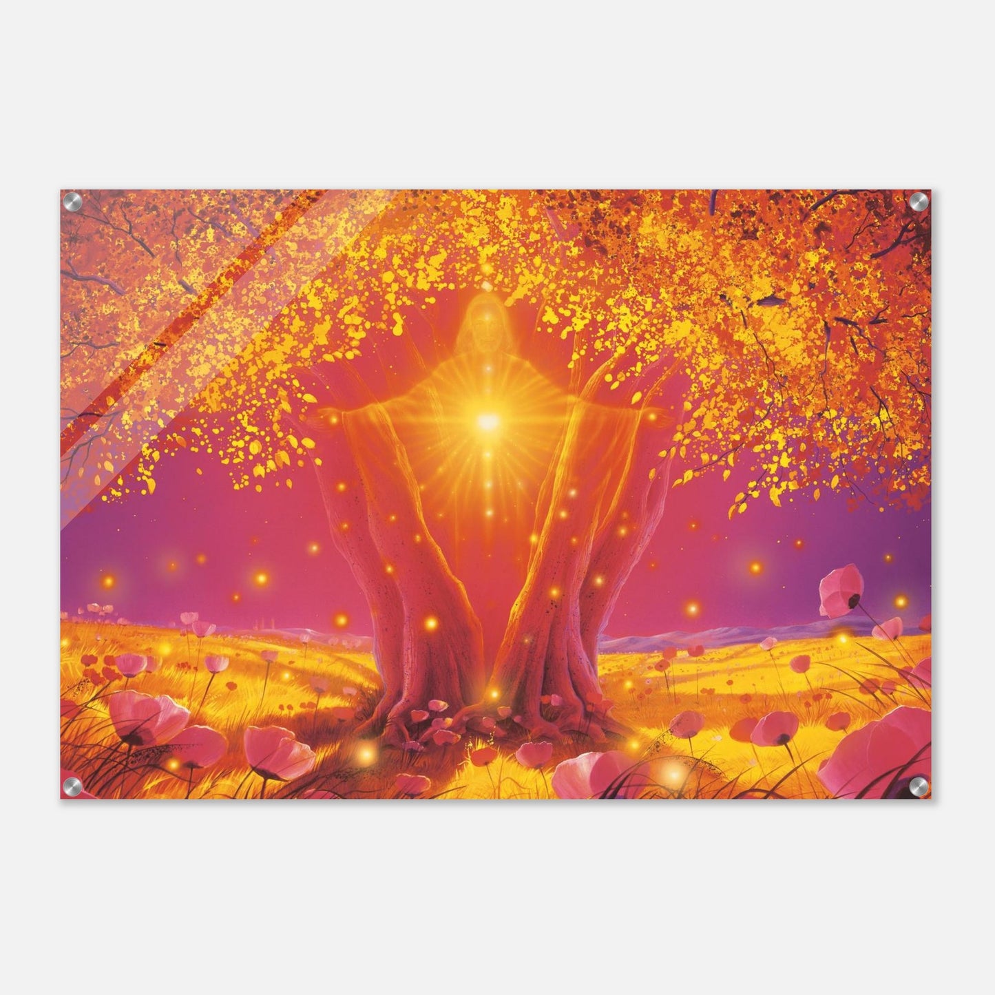 0d6b875f-7df9-46c5-acc0-01946e6d3402