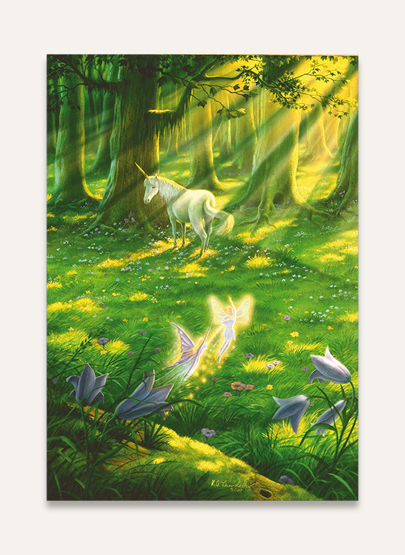 Das Wunder des Waldes - Postkarte