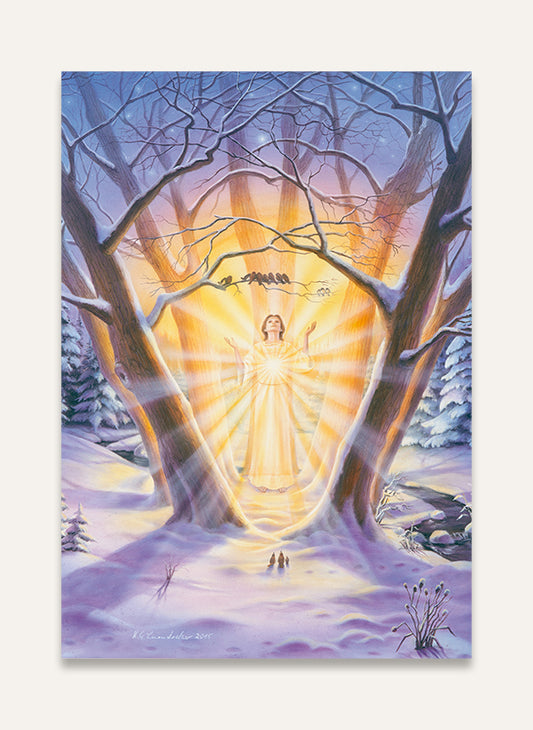 Winter im Wald - Postkarte 176