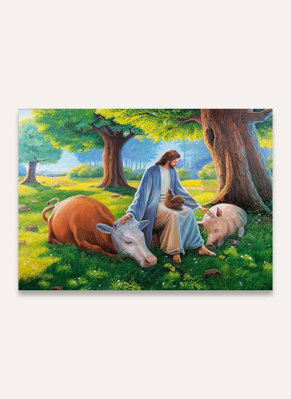 Liebe zu Gottes Geschöpfen - Postkarten