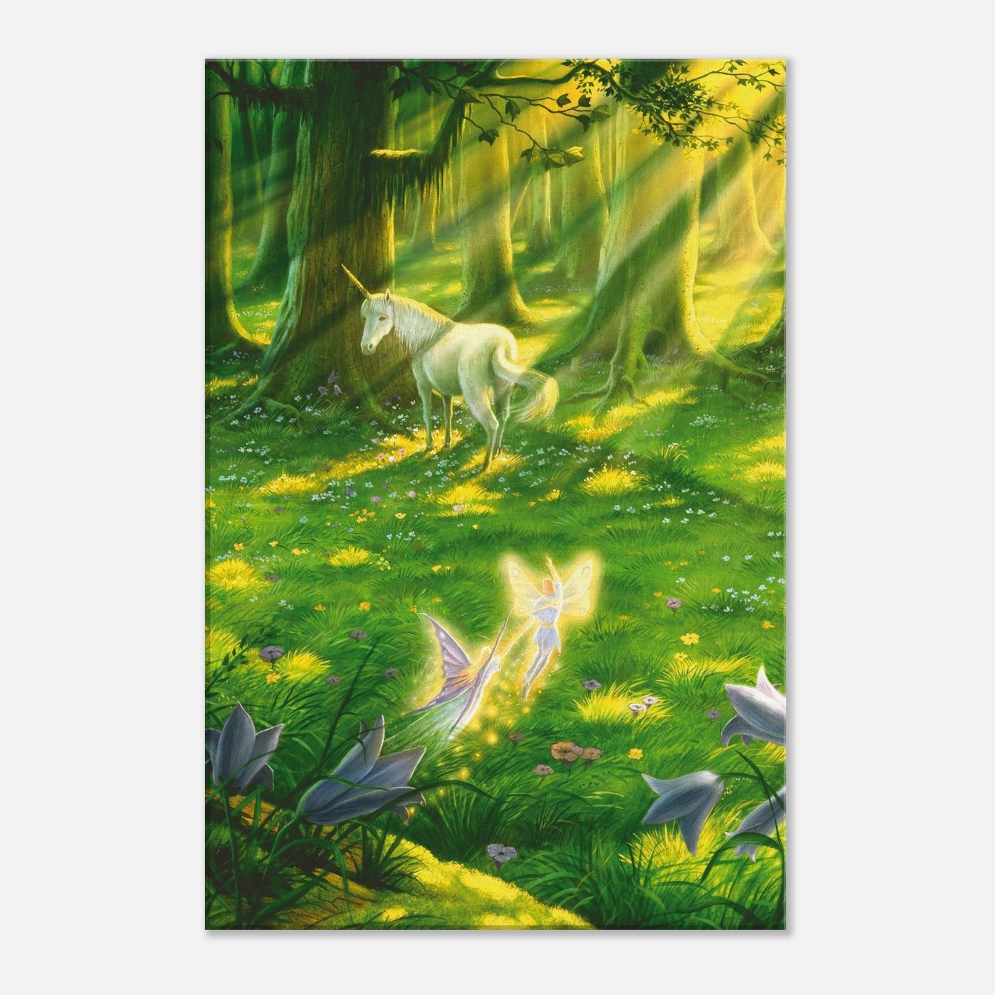 2505093b-d120-47fd-89f2-cf3c0f48d4ca