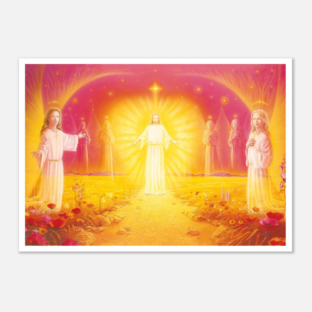 2ba0e6ed-ae21-498b-a611-96062fa03578