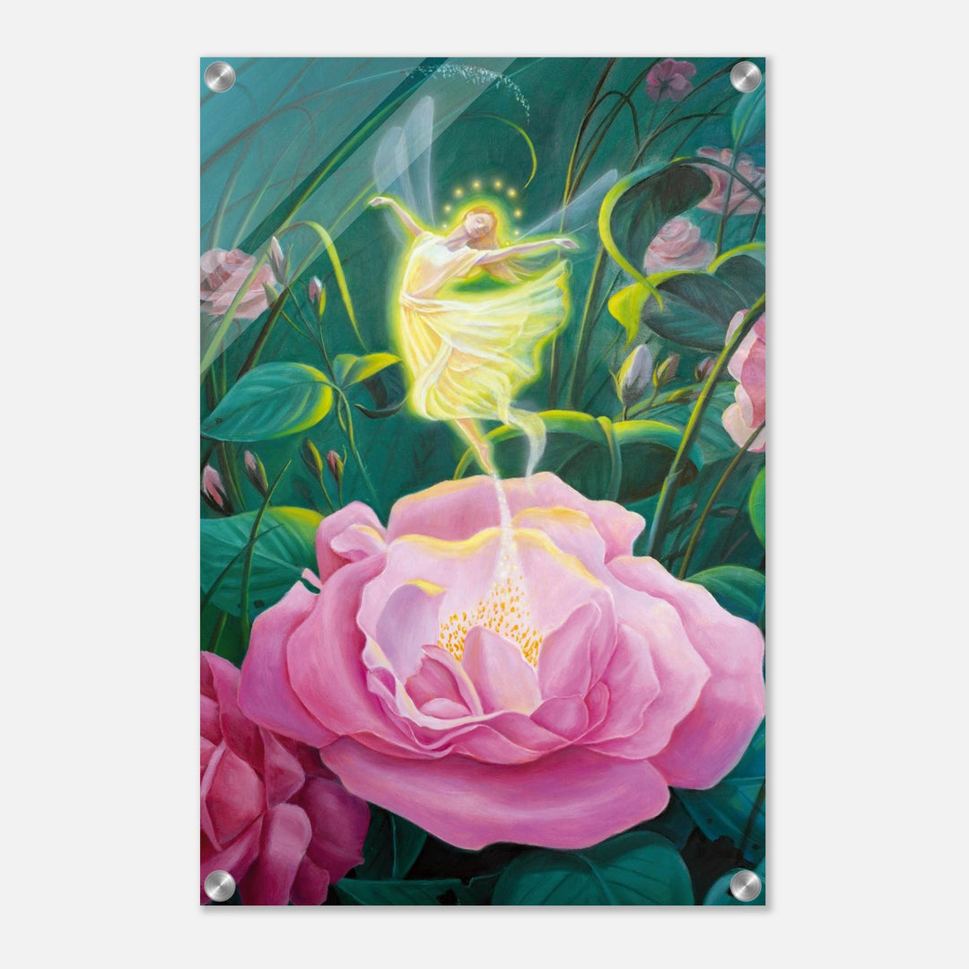 40a5ba82-9815-4c1f-b100-ab910d29c902