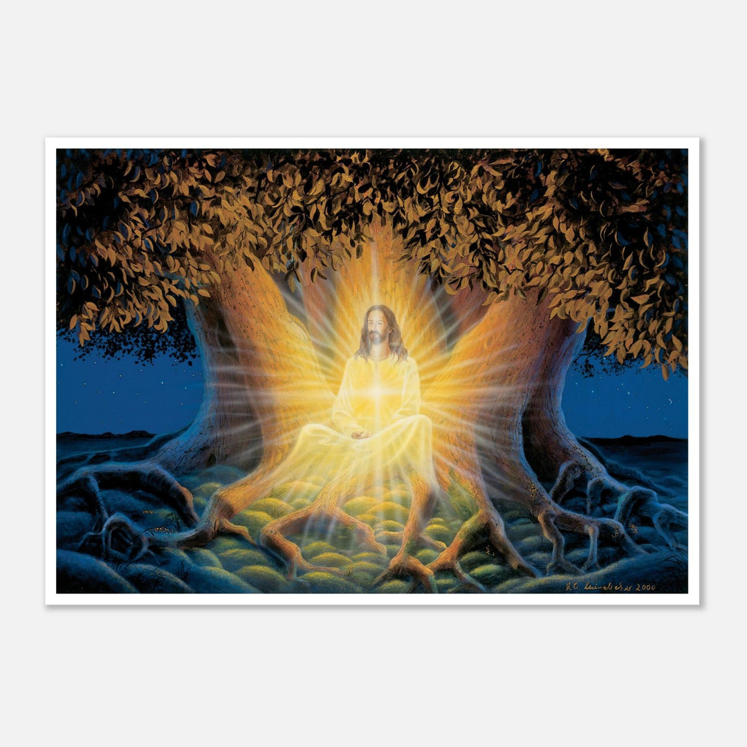 45237cb3-acb0-4c09-9d12-8f55672fae45