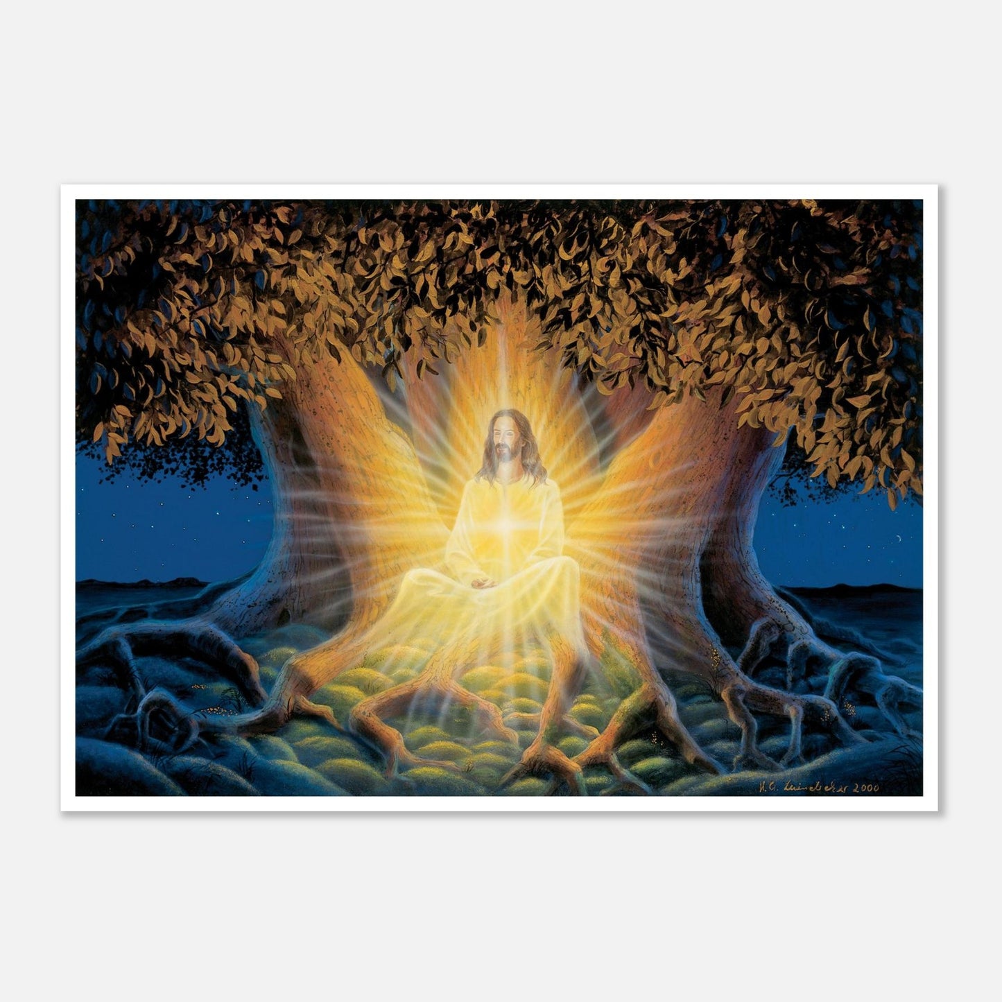 45237cb3-acb0-4c09-9d12-8f55672fae45