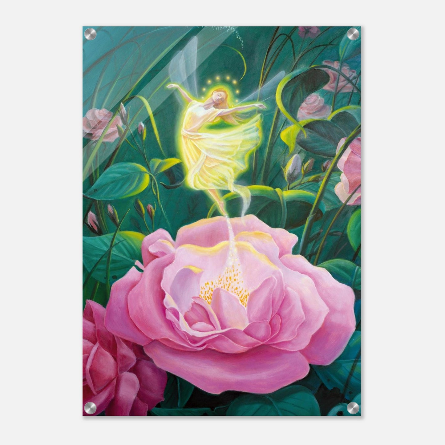 459dc029-fff1-4035-8a0d-27bd24978b41