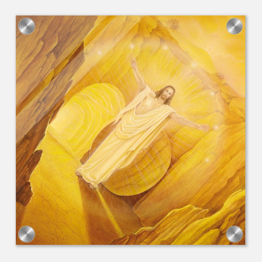 4f41cf6e-f6df-4010-923d-ef6f9f2845ba