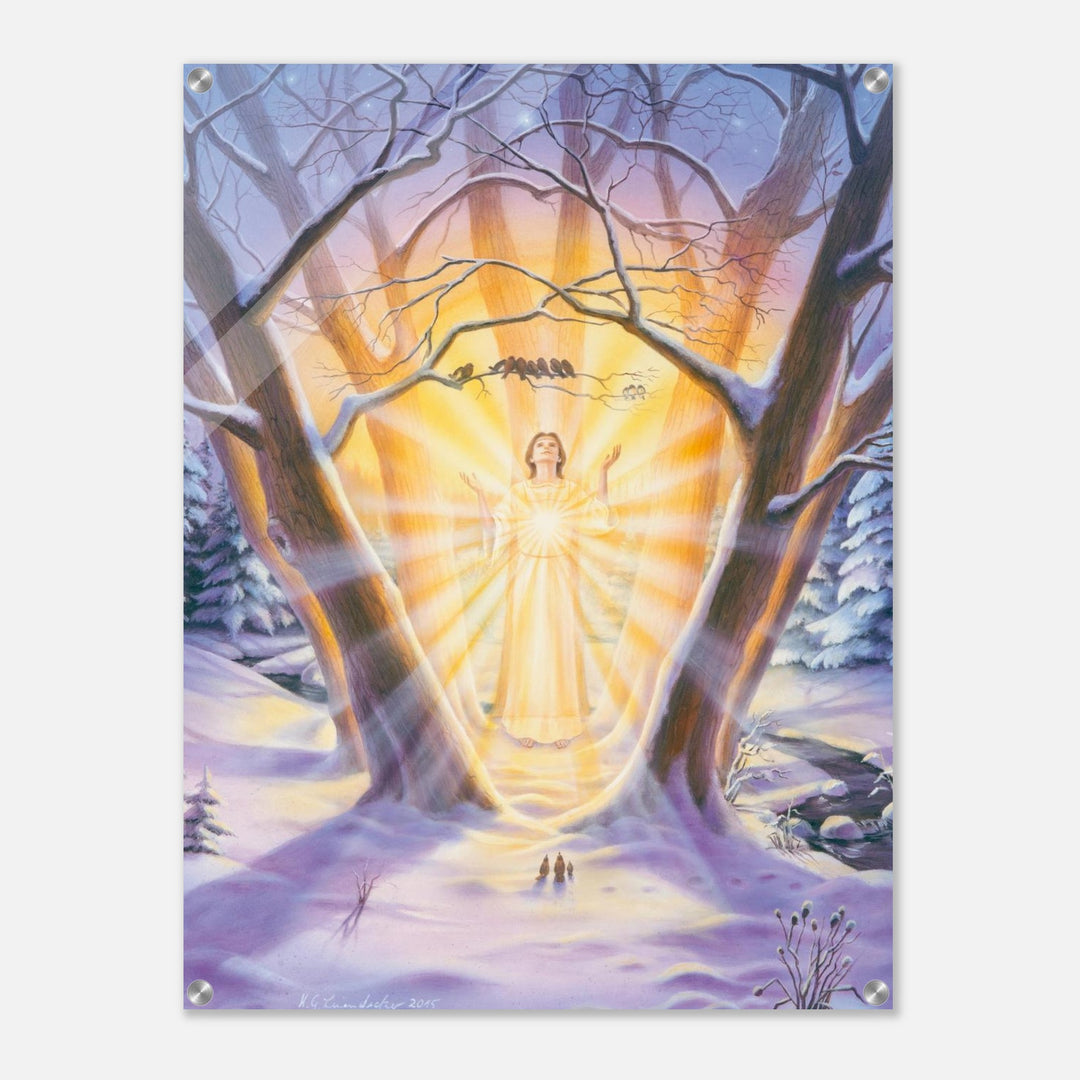 5000bcb6-f271-4223-953c-01ebaf818215