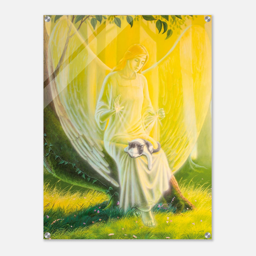 5dd587e3-f515-4974-baad-aa95082bdc4e