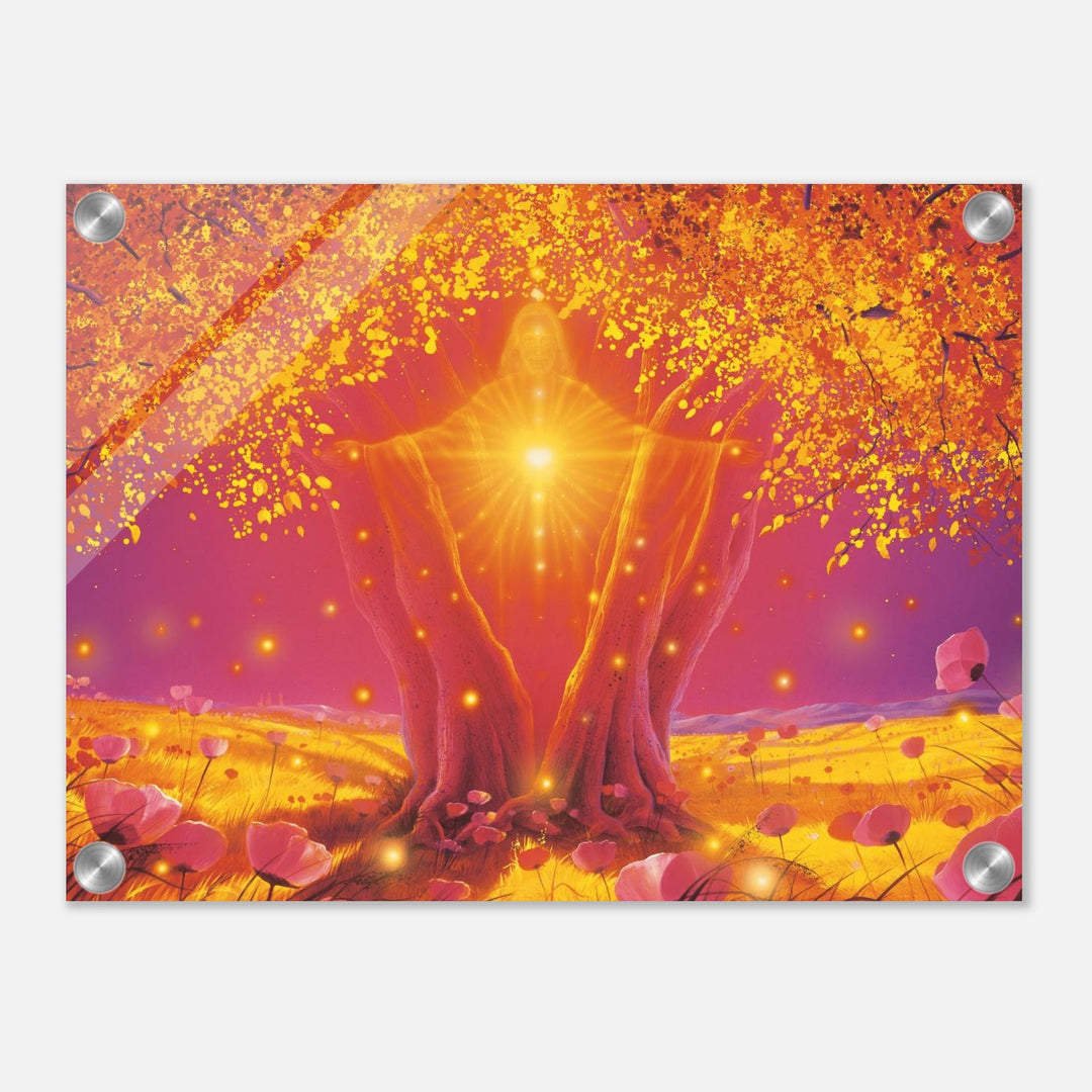 5e8066b0-459a-4648-ae70-e82c3d966eca