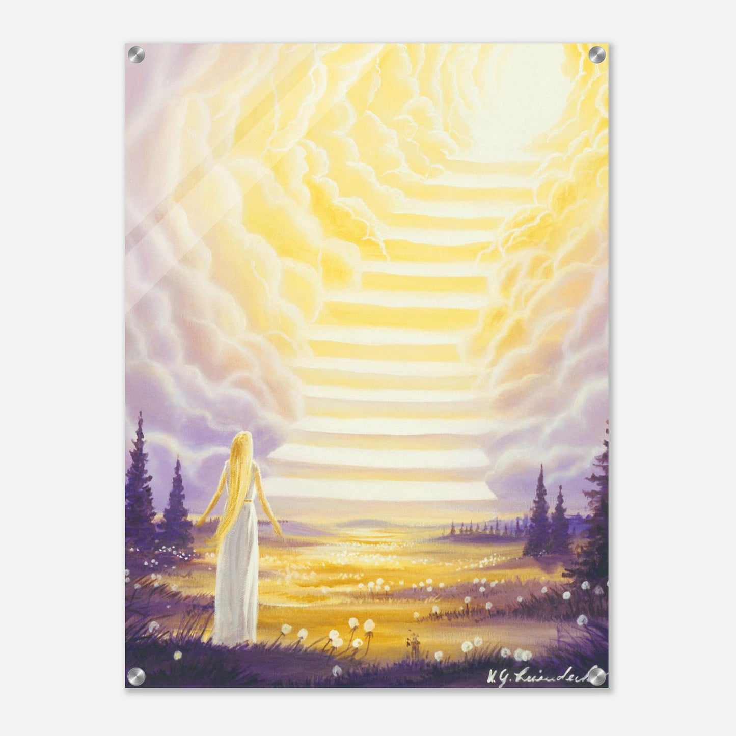 68fac221-a043-4db6-bbd0-ab77f2e23bad