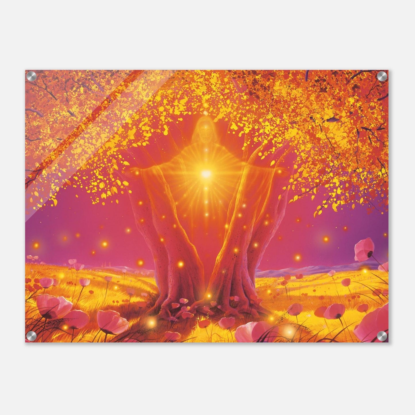 72dfbcb2-52d5-46db-9edd-5d4e9759e01f