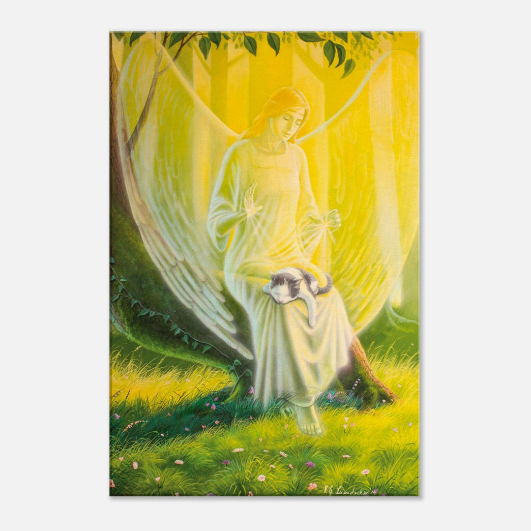 82ff6d8b-69fe-47cc-9254-fdbaca910560