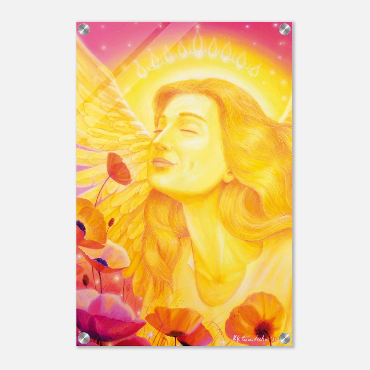 86d492b5-ed84-418c-9263-4f6d485d9b5f