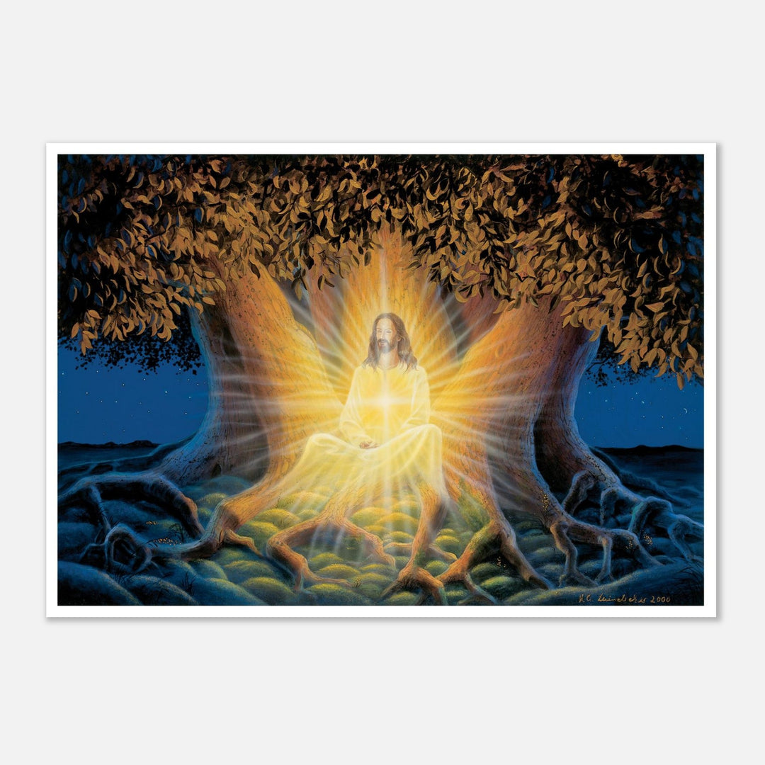 8d310021-5039-4c2f-9bf1-64de3fbd6cd2