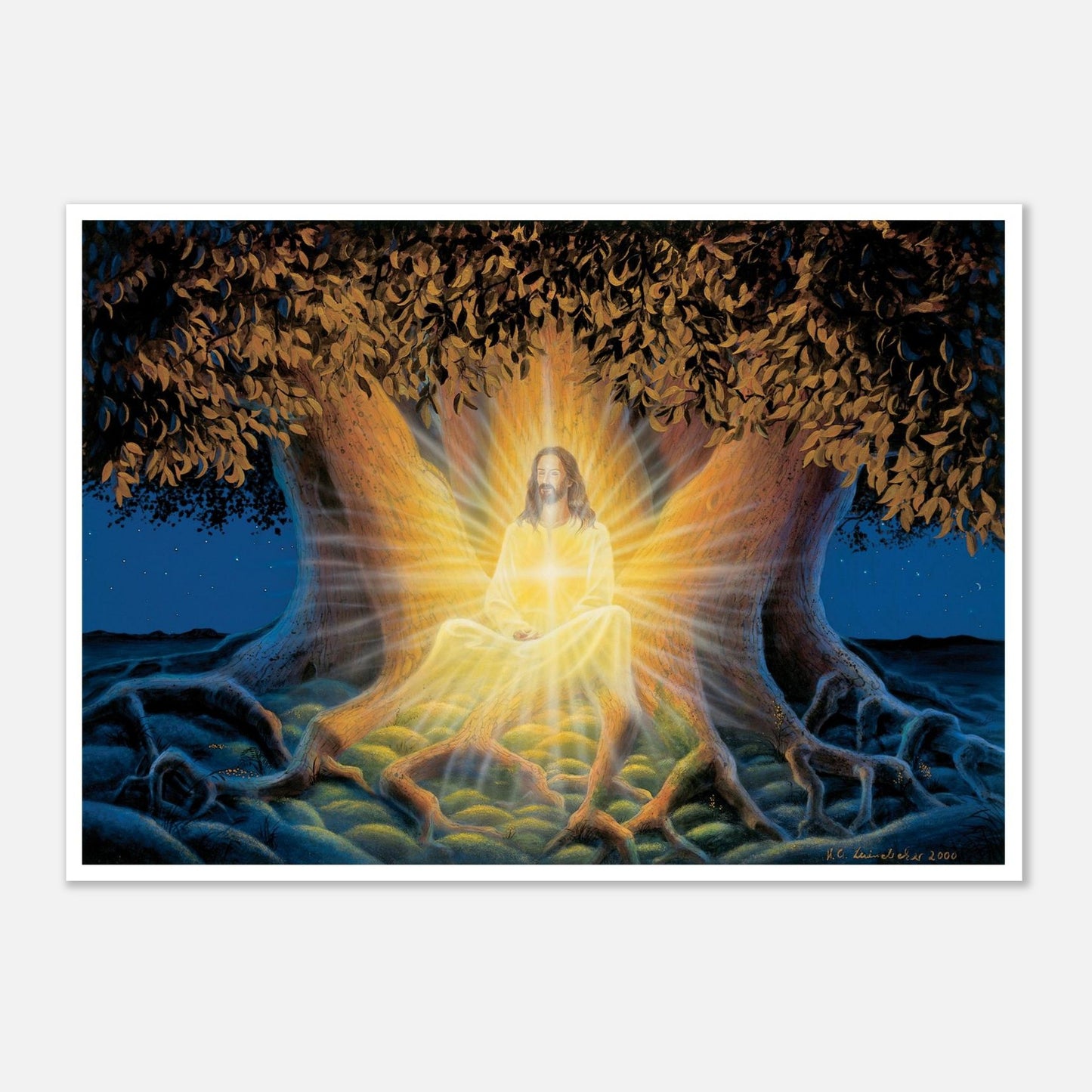 8d310021-5039-4c2f-9bf1-64de3fbd6cd2