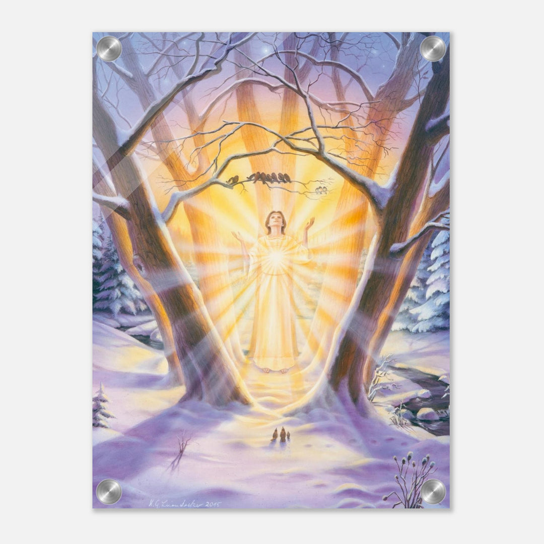 8ea6c3fb-d107-48fd-b5b3-a773364133d8