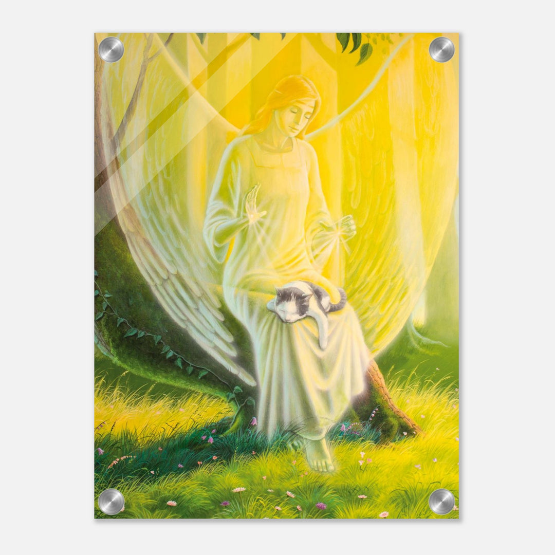 95207a61-7293-4d5c-98ed-181b21d10c93