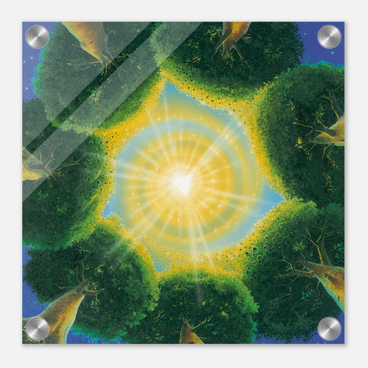 9555d972-2650-435c-ab27-f72a089cbd9b