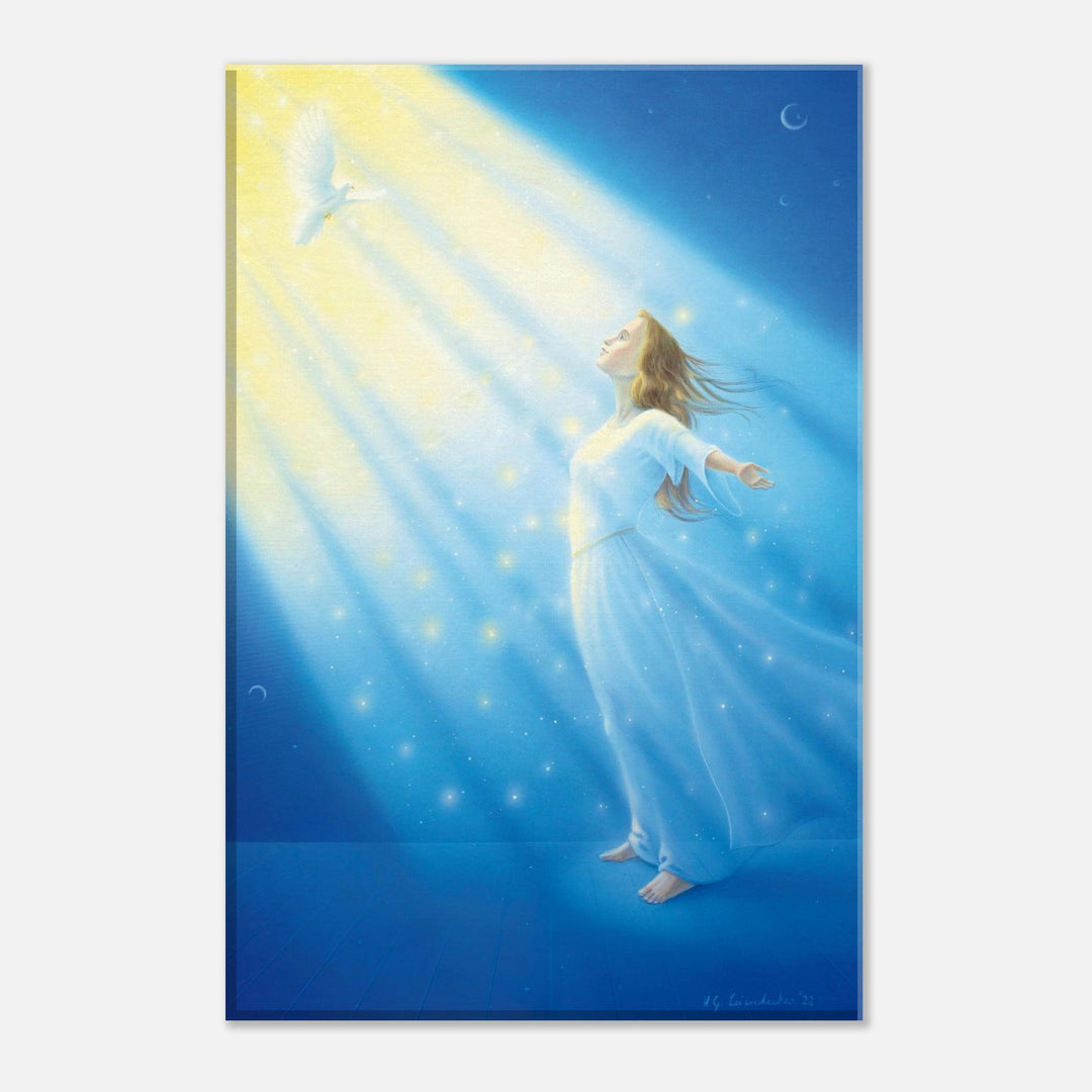 9e0705a7-0568-41e2-a0ae-2d29da747a98