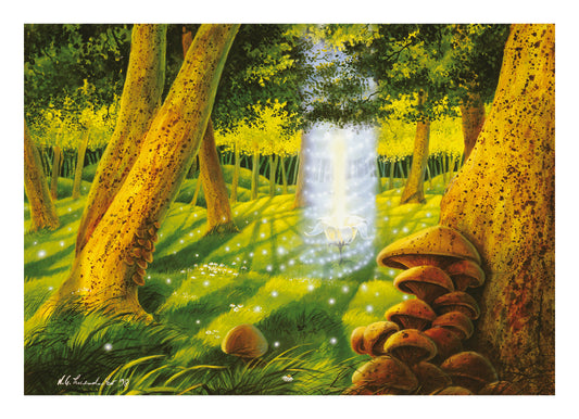 The Light of the Forest Fairy