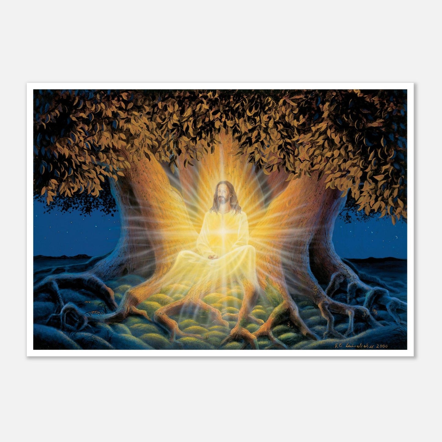 ac8f4116-16f0-45aa-960e-578588611162