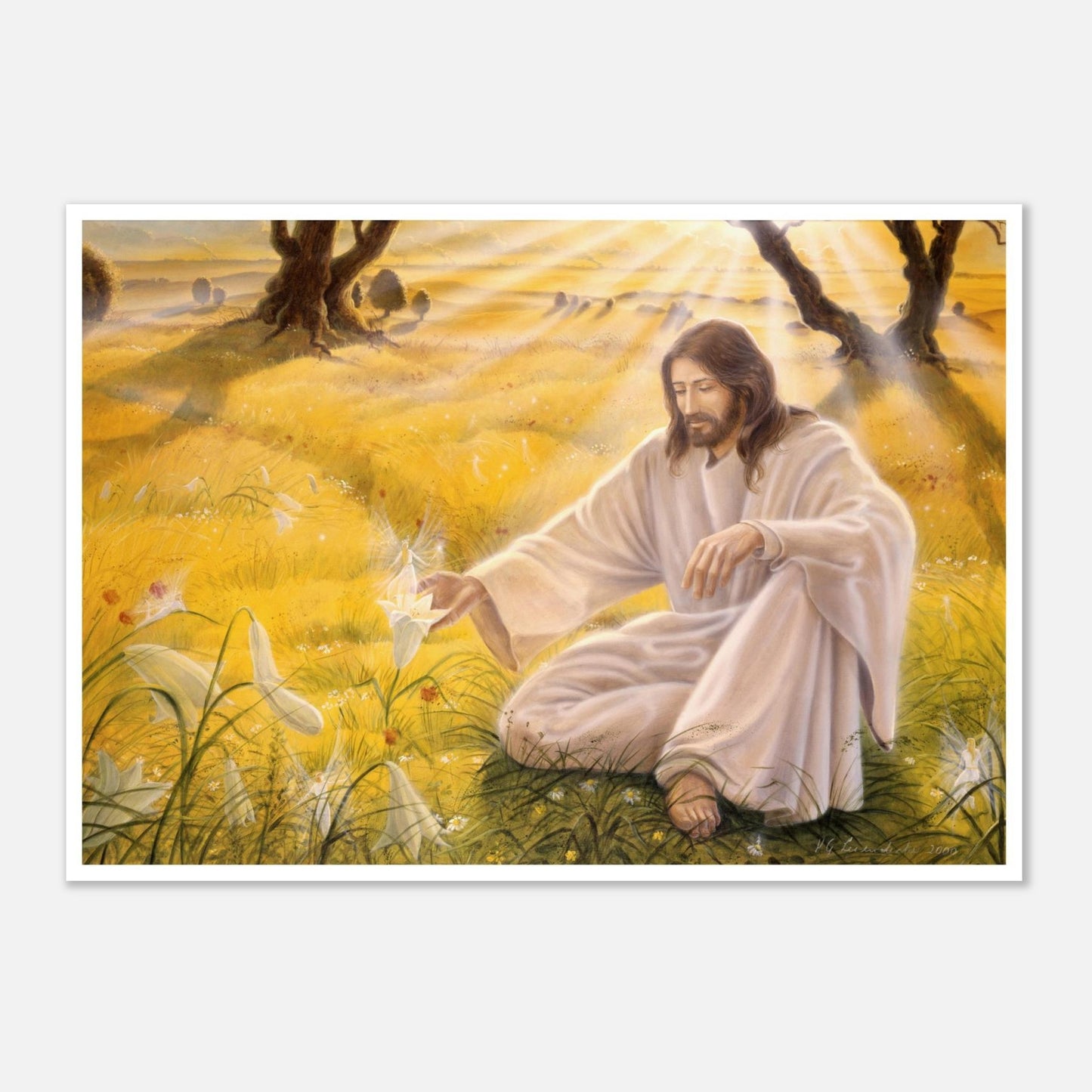 ae2c7b46-8b01-41c5-a946-d600018396b8