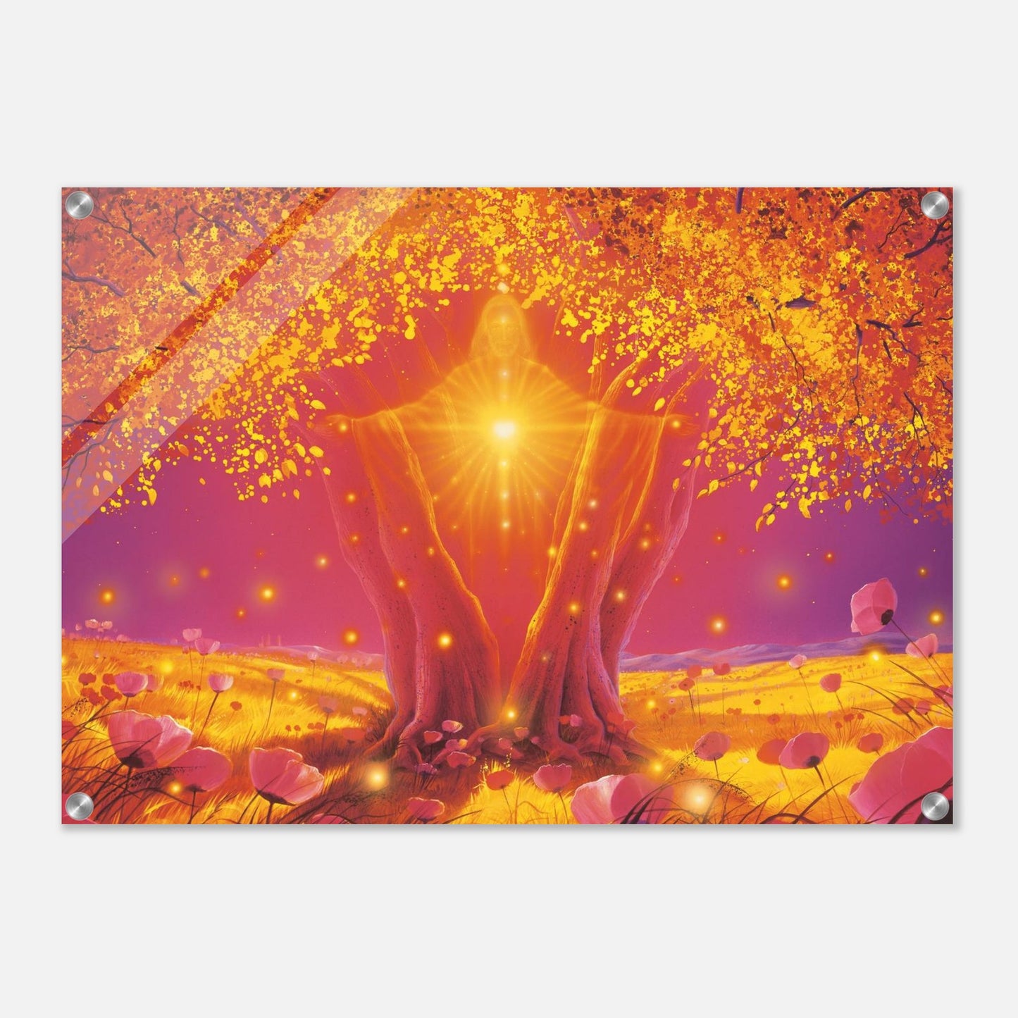 b2a52776-ad2a-4459-83c5-c70aff7102fd