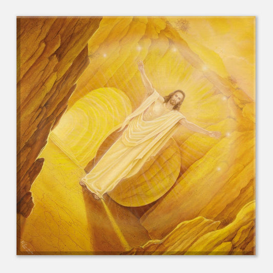 b46e00c8-e1a9-4a64-b10e-b2c1df94a742