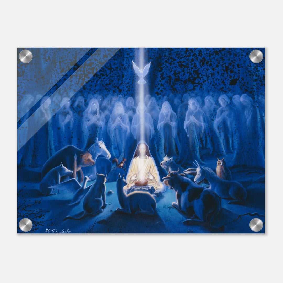 b5c95c28-ee5c-40e8-8b54-3e8cf692c8a3