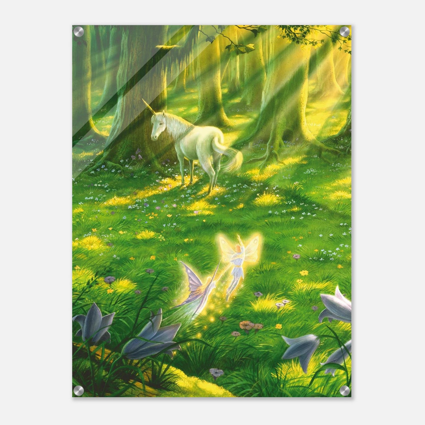 bbdd55fb-e233-46de-b0dd-4e7c3a224b79