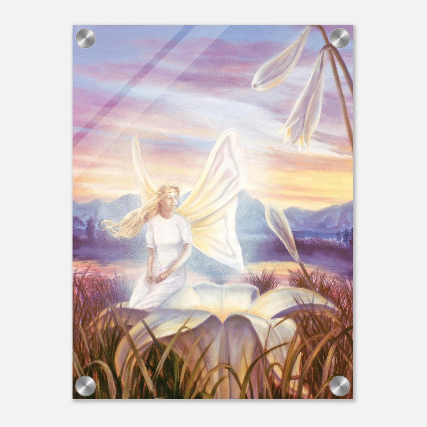 c03bf5d4-aa7e-4a84-b064-0ecf2717b6f6