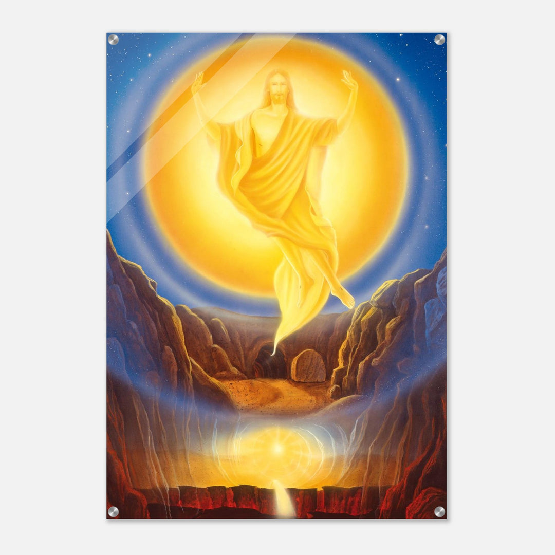 c50c6617-075f-4f3d-8f89-ca2543a5907a