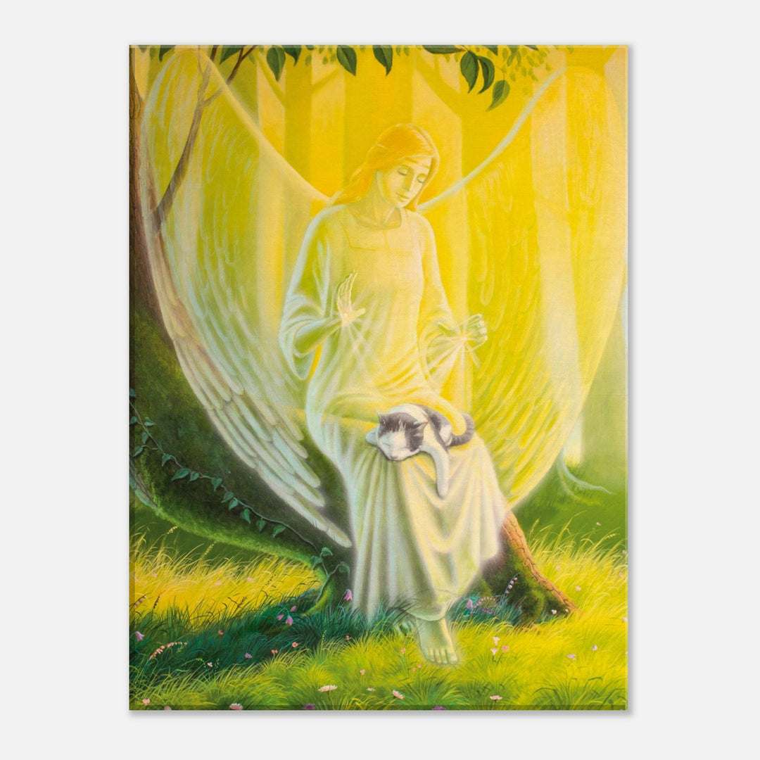 cec64b2d-4df2-4d24-9230-038ed401baa6