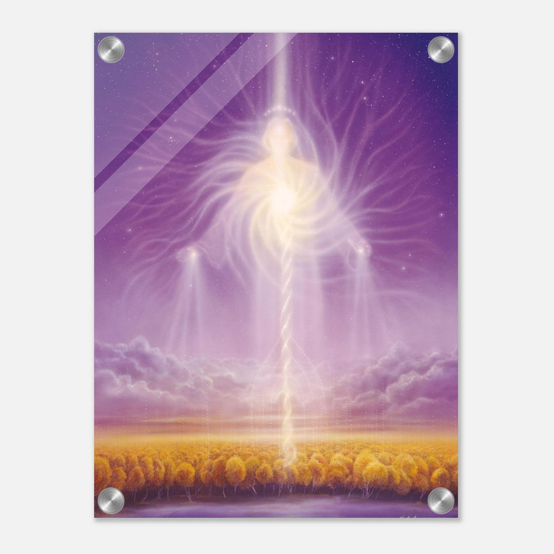 d185e1fb-18d8-490b-80a4-8d537b4e0101